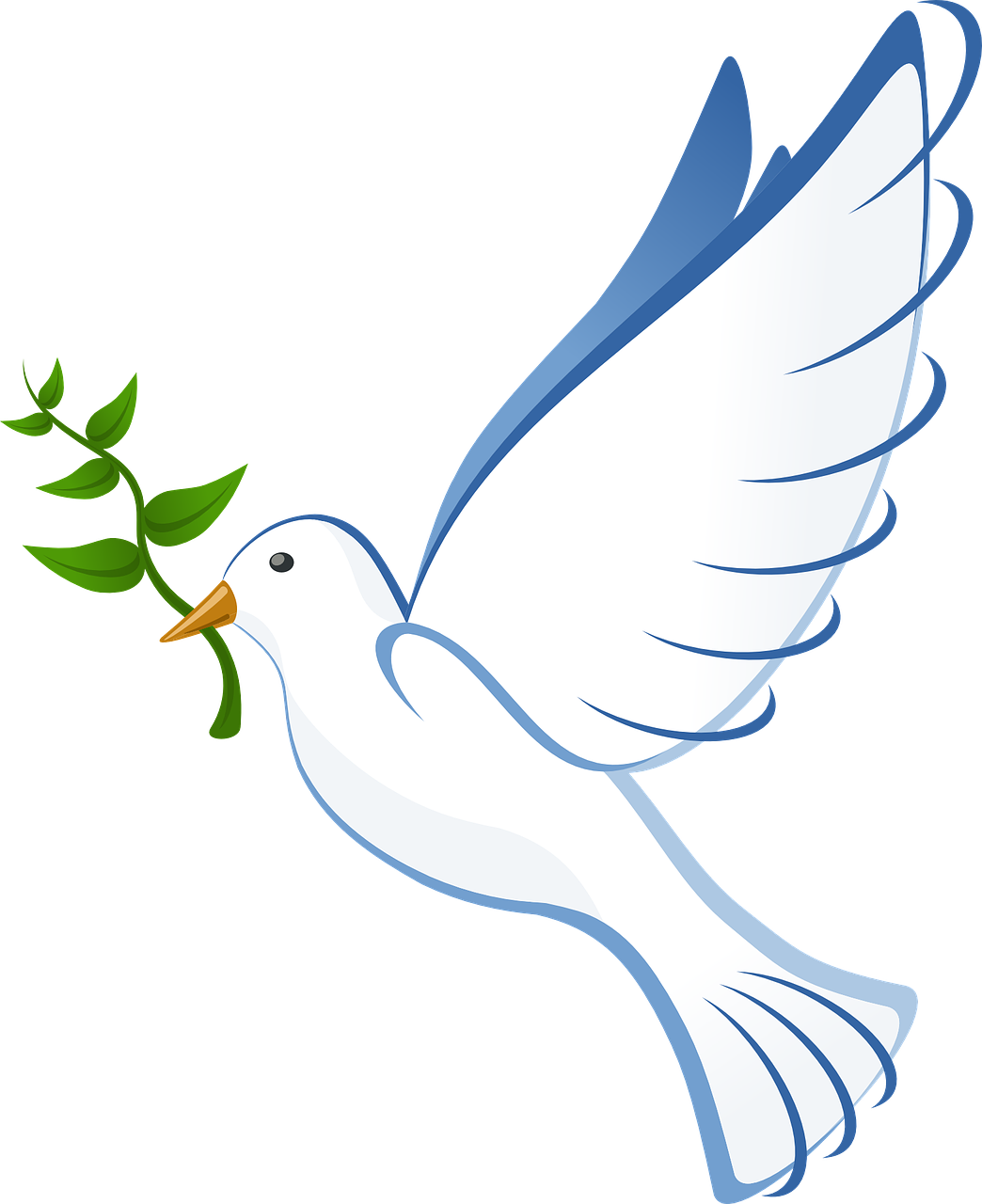 Dove Peace Flying Freedom
