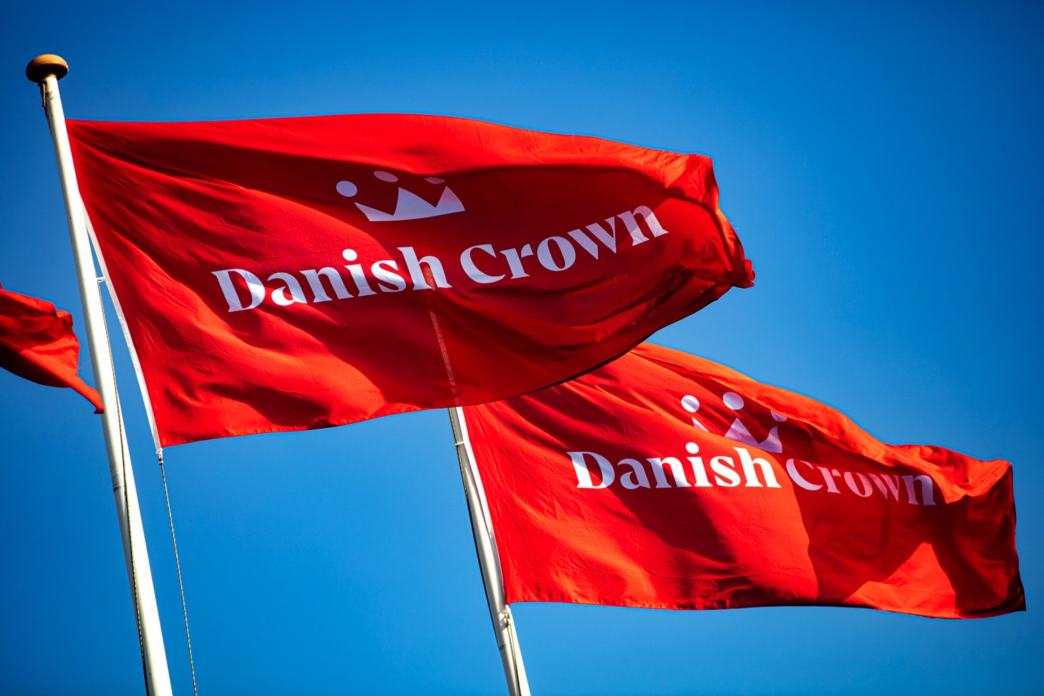 Danish Crown.