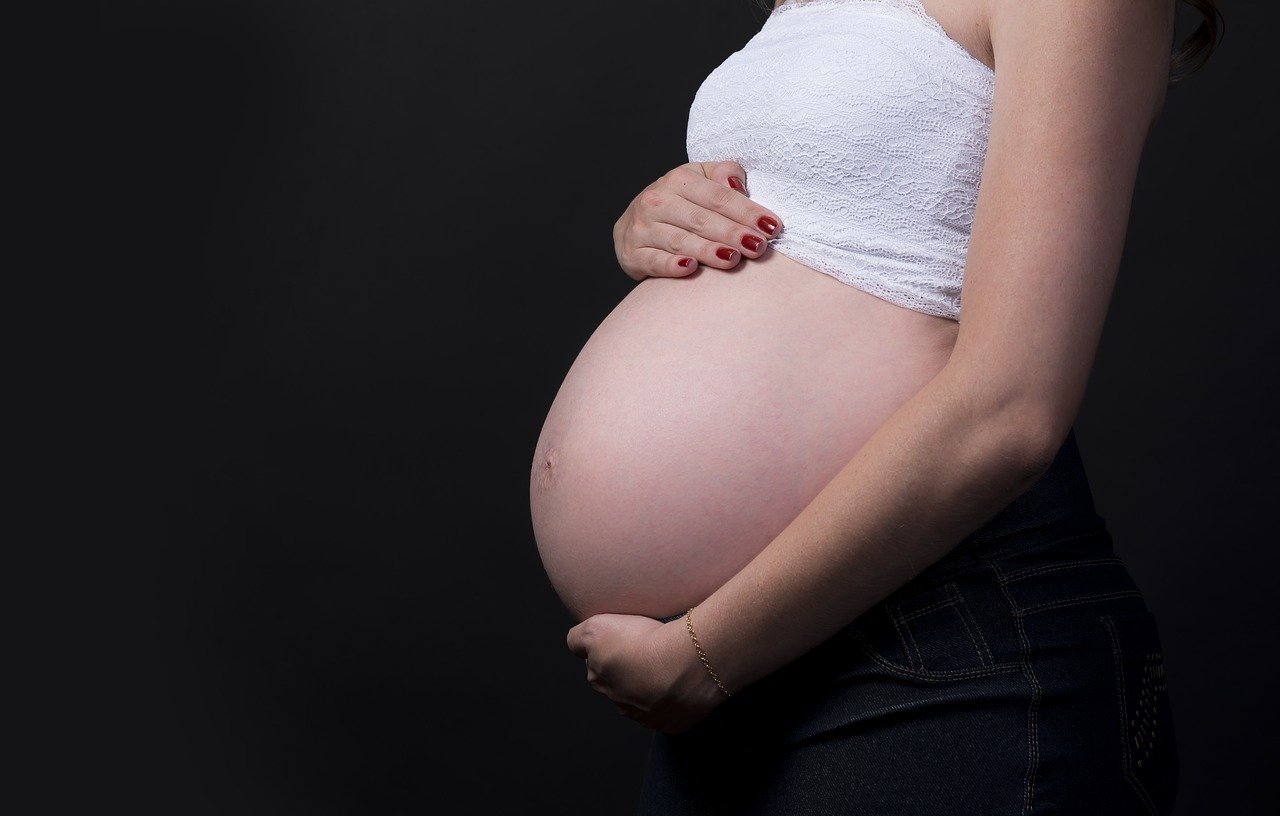 Pregnant Pregnant Woman M Mother  - Fotorech / Pixabay